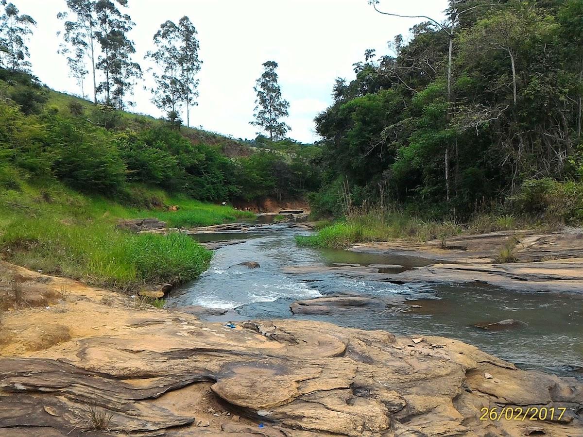 Registro de Marca Senador Firmino
