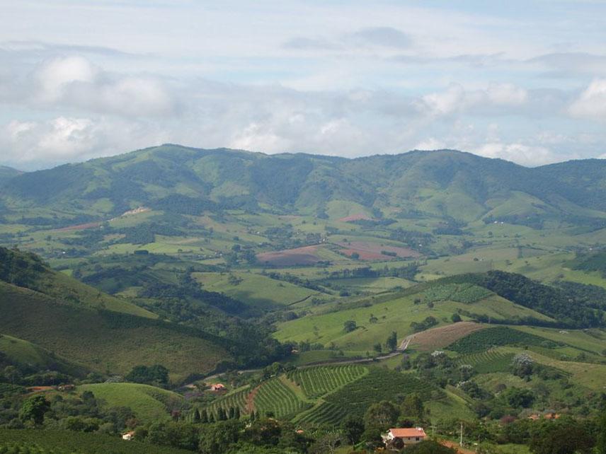 Registro de Marca Senador José Bento