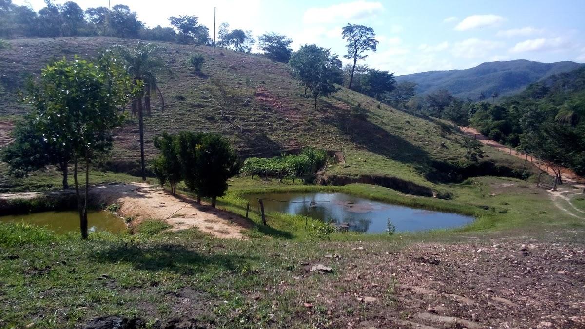 Registro de Marca Senador Modestino Gonçalves