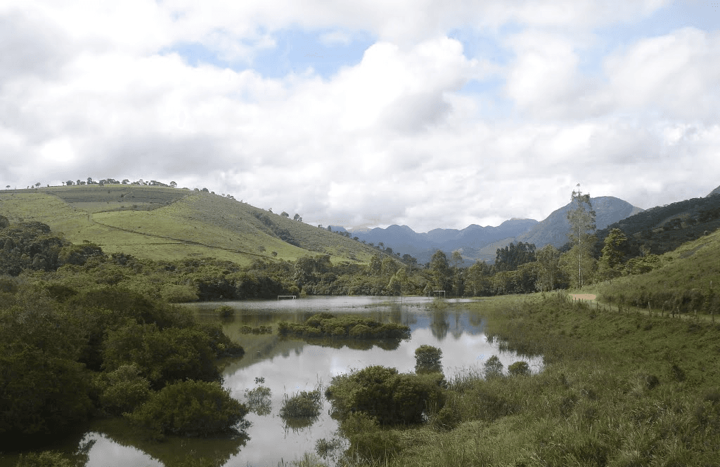 Registro de Marca Sericita