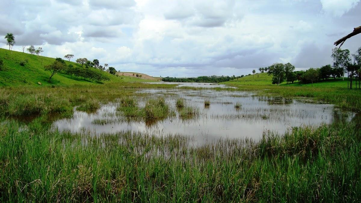 Registro de Marca Serra da Saudade