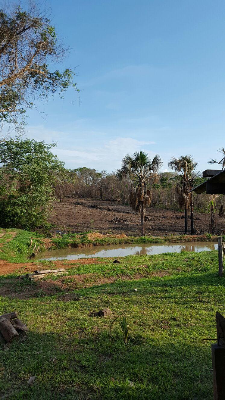 Registro de Marca Serra Nova Dourada