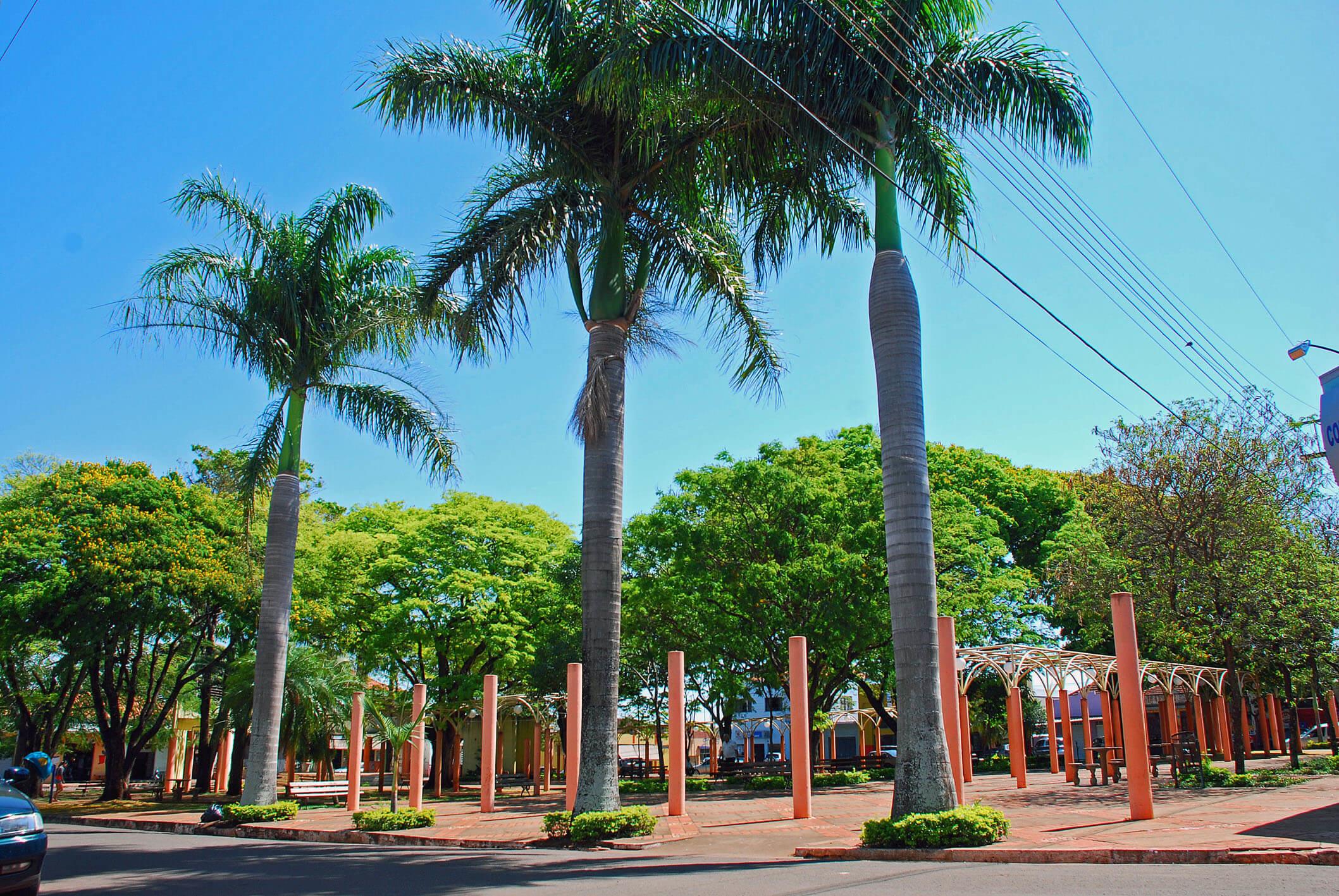 Registro de Marca Sertaneja