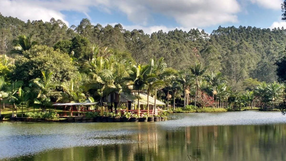 Registro de Marca Siderópolis