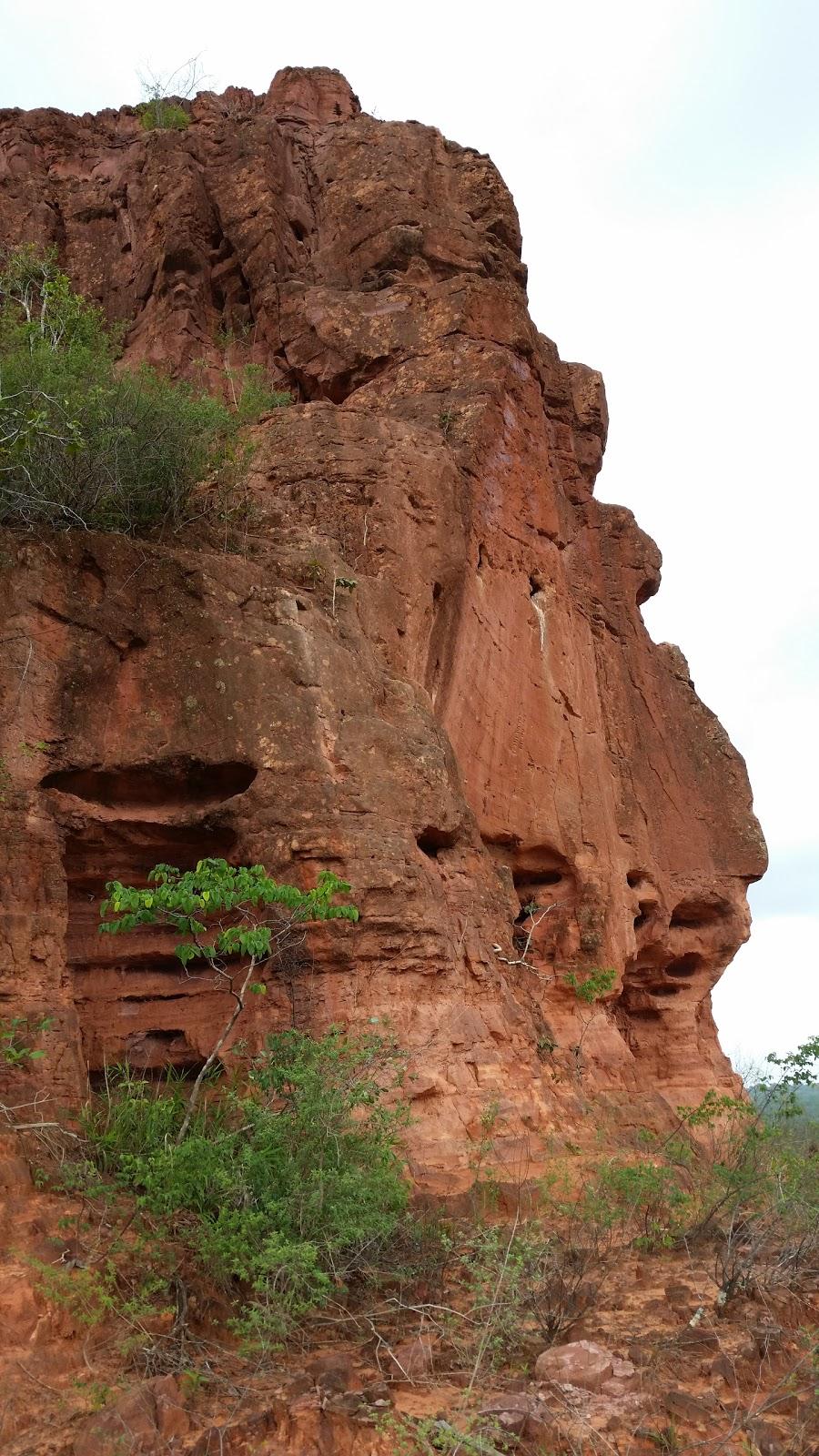 Registro de Marca Sítio Novo