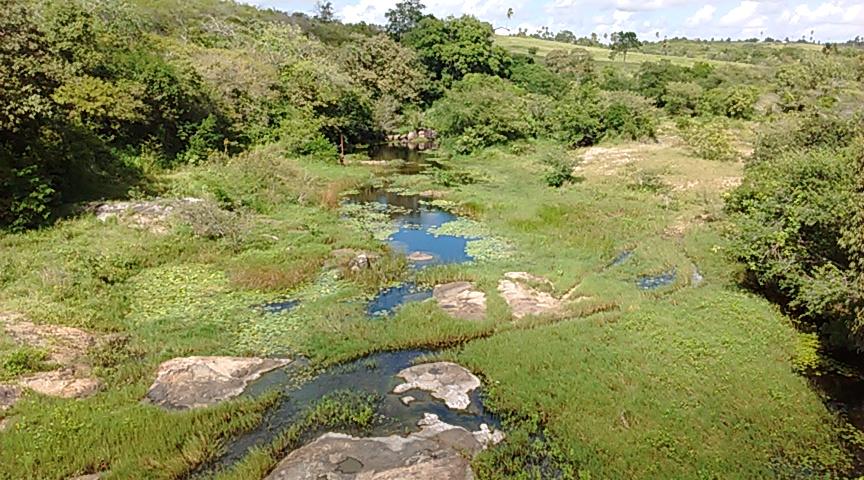 Registro de Marca Sobrado