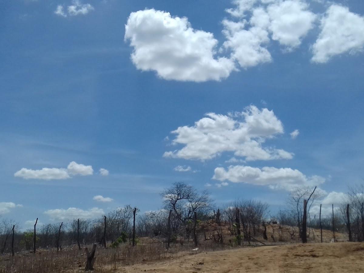 Registro de Marca Solidão