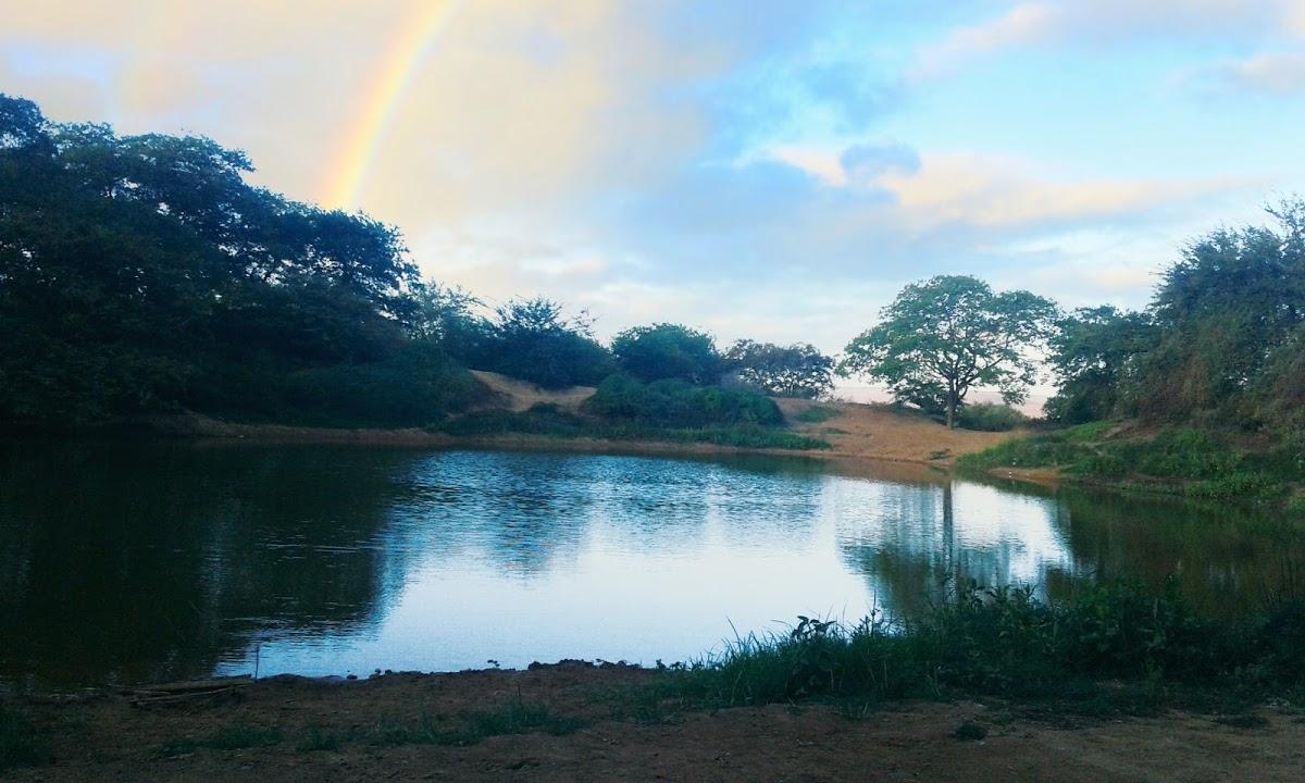 Registro de Marca Souto Soares