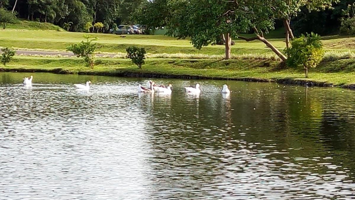 Registro de Marca Sulina