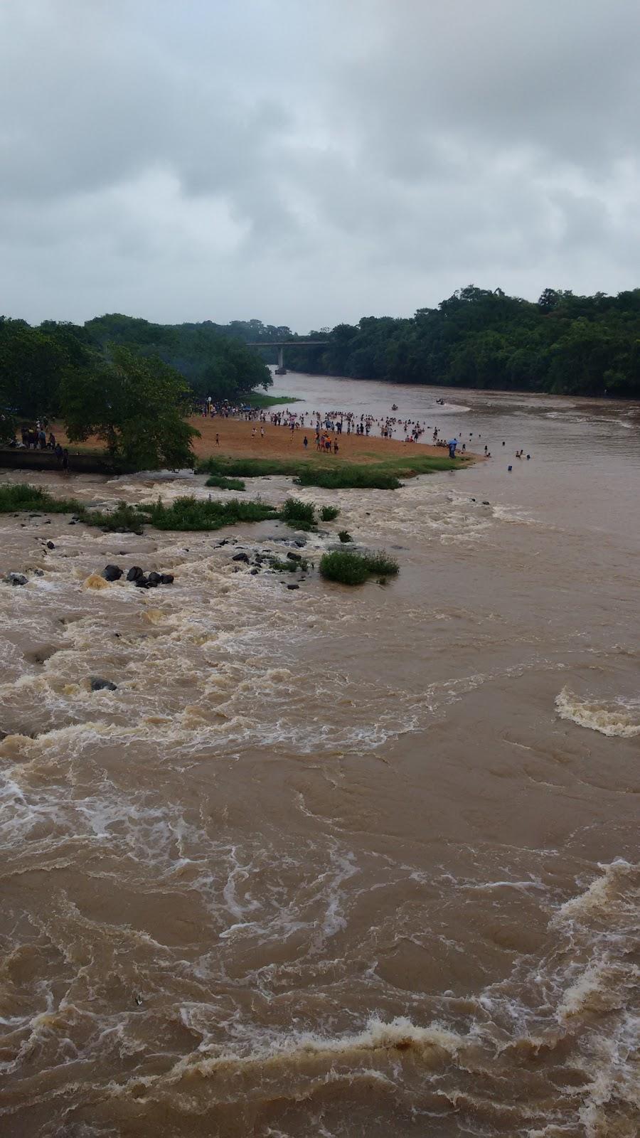 Registro de Marca Suzanápolis