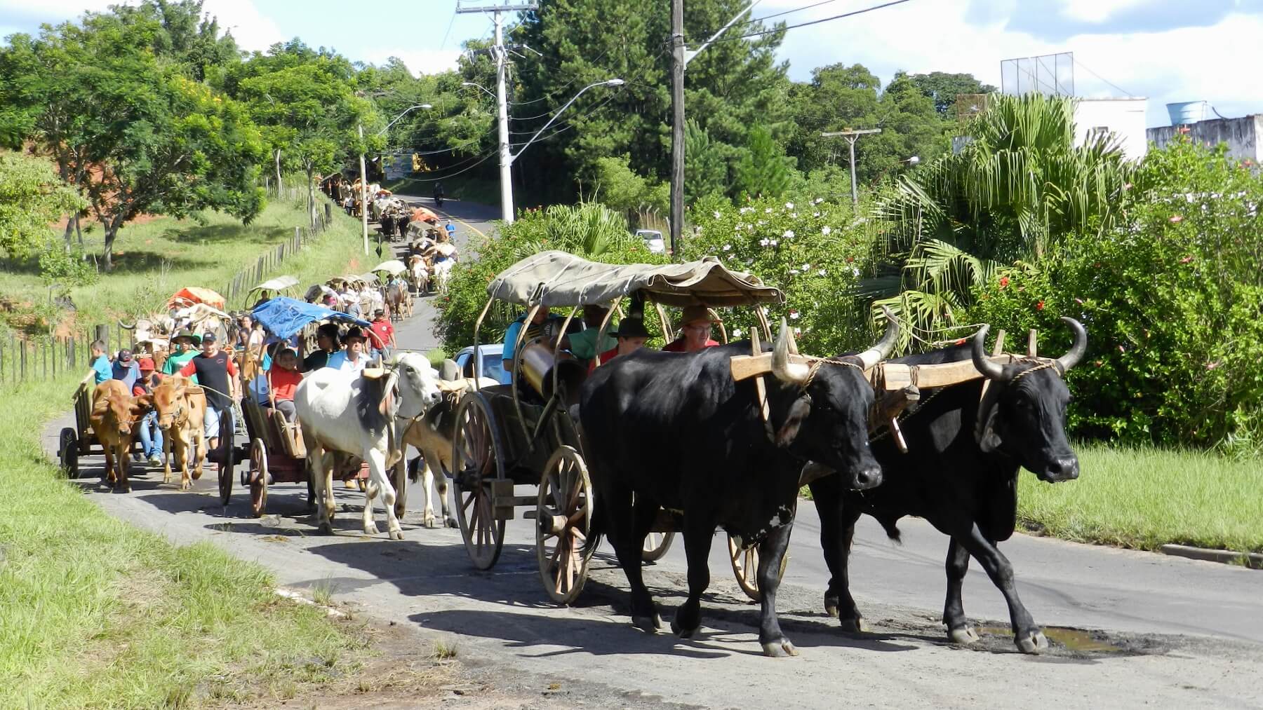 Registro de Marca Tabaí