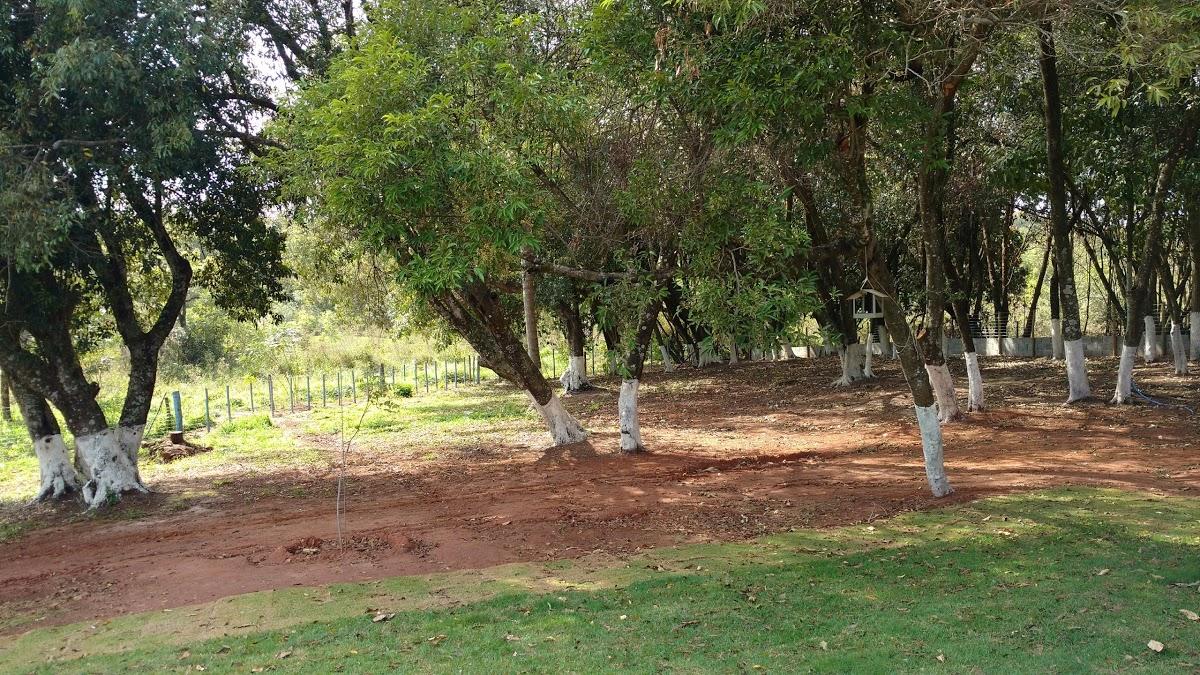 Registro de Marca Tabapuã