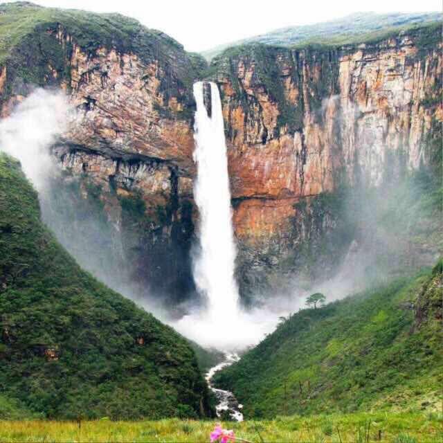 Registro de Marca Tabuleiro