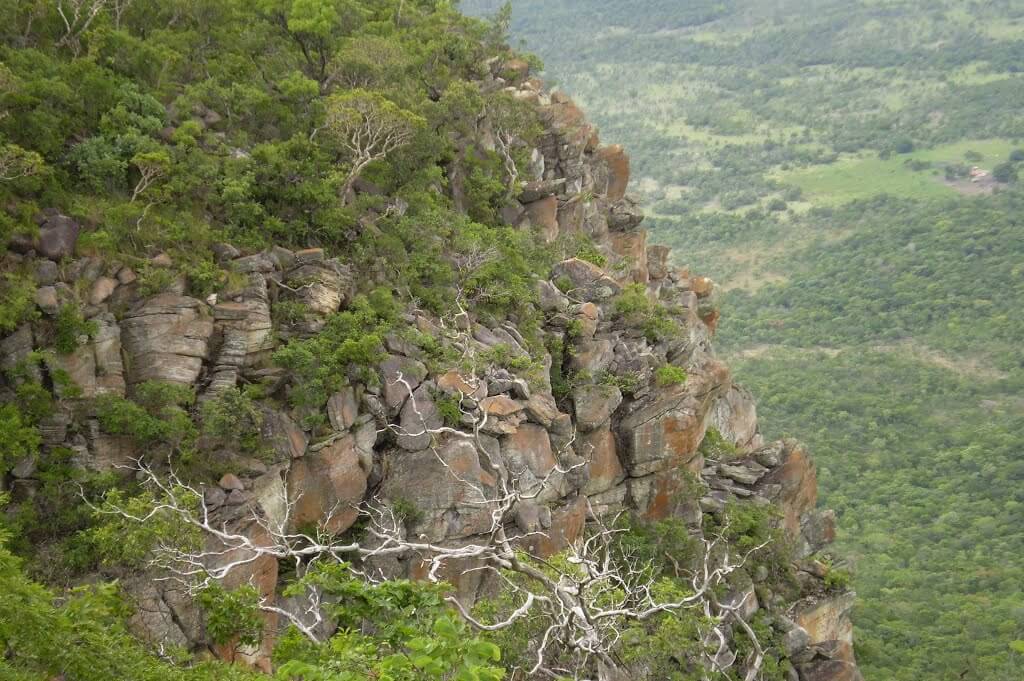 Registro de Marca Taipas do Tocantins