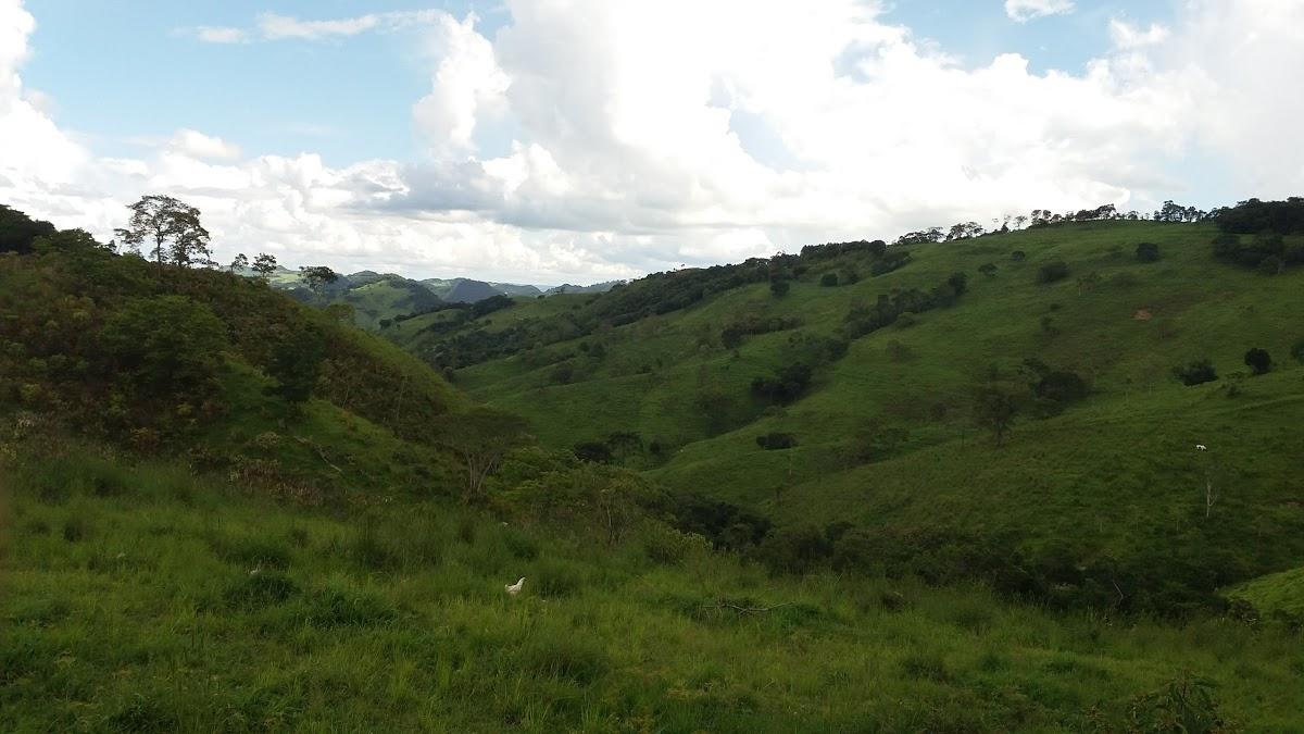 Registro de Marca Taiúva