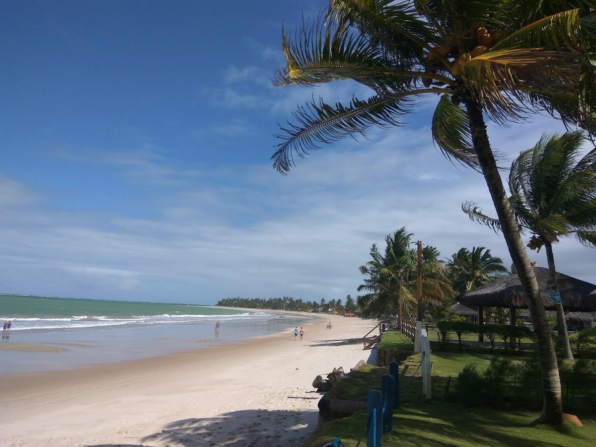 Registro de Marca Tamandaré