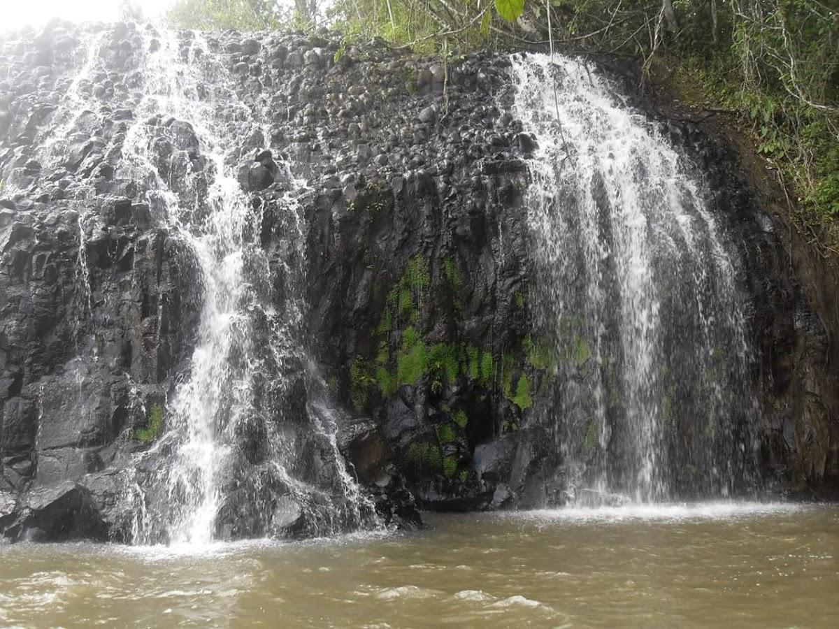 Registro de Marca Tangará da Serra