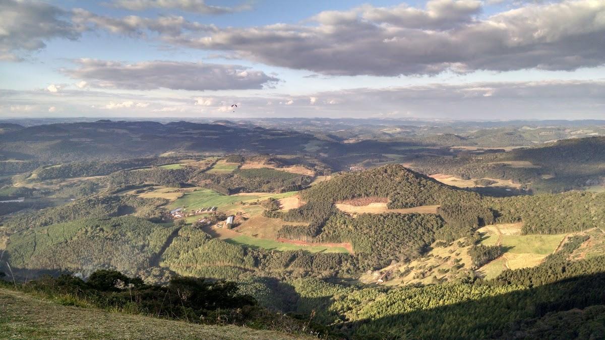 Registro de Marca Tangará