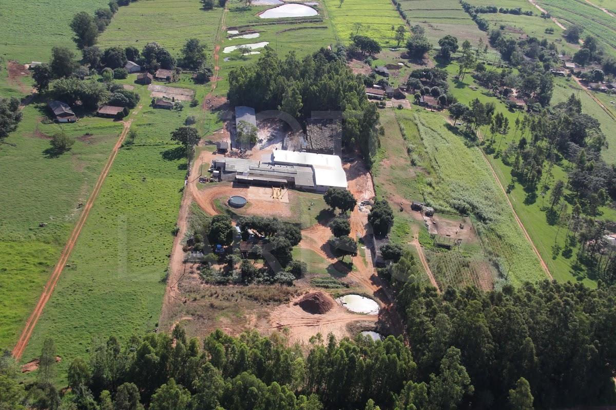 Registro de Marca Tapejara