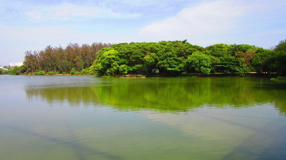 Registro de Marca Taquaral