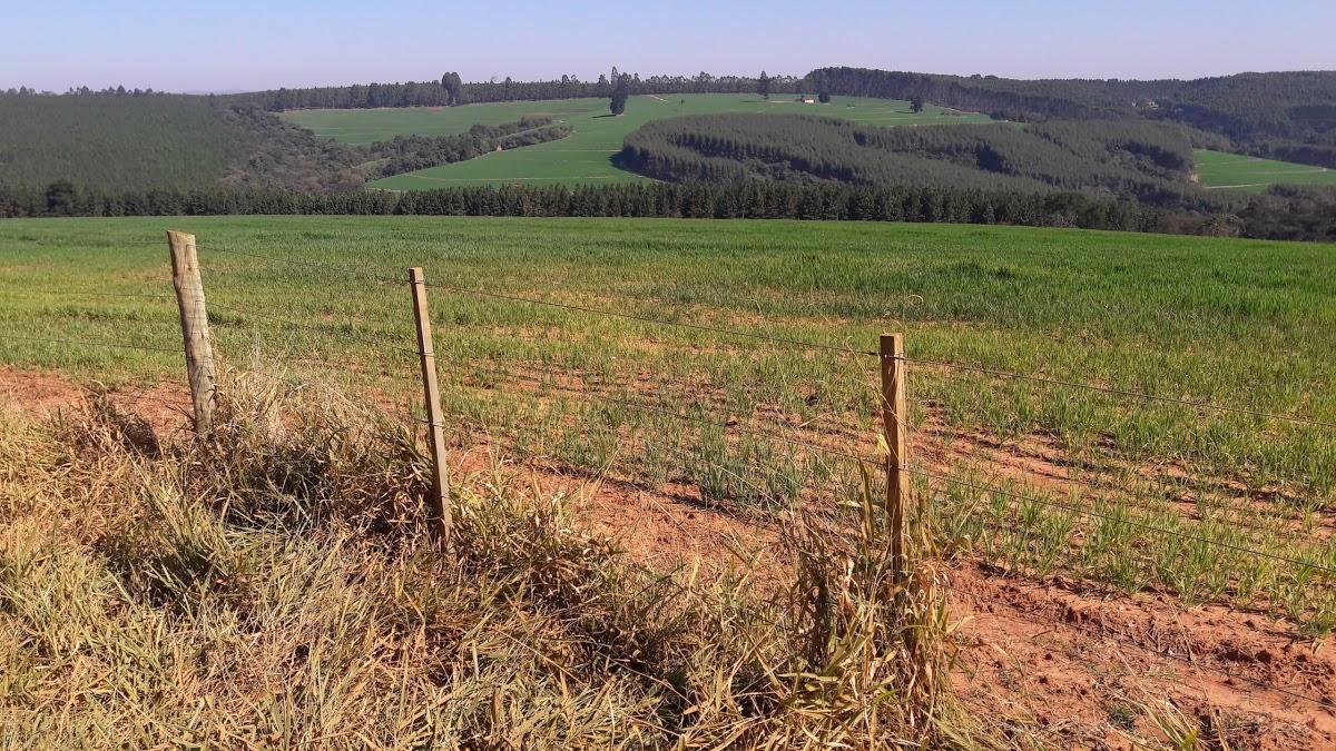 Registro de Marca Taquarivaí