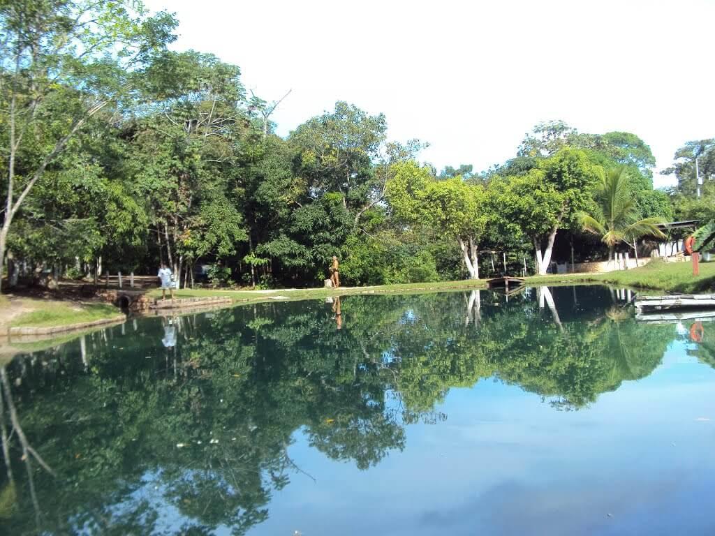 Registro de Marca Terra Nova do Norte