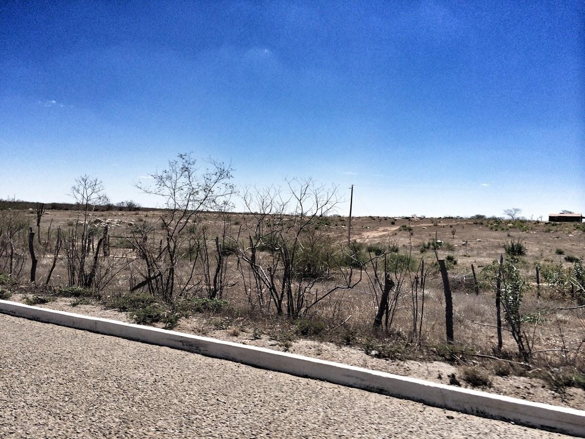 Registro de Marca Terra Nova