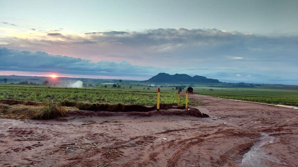 Registro de Marca Terra Rica