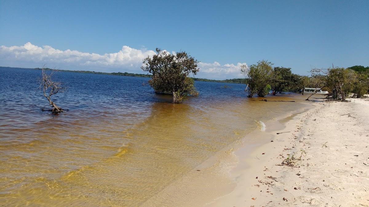 Registro de Marca Terra Santa