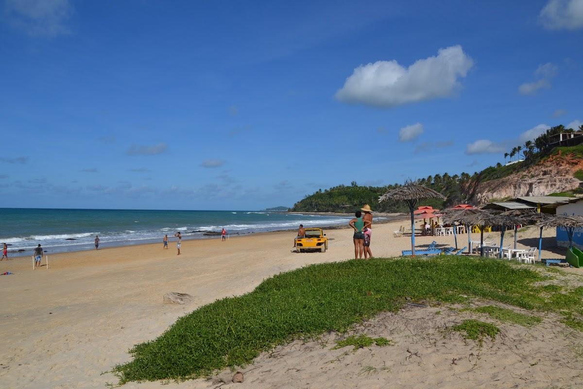 Registro de Marca Tibau do Sul