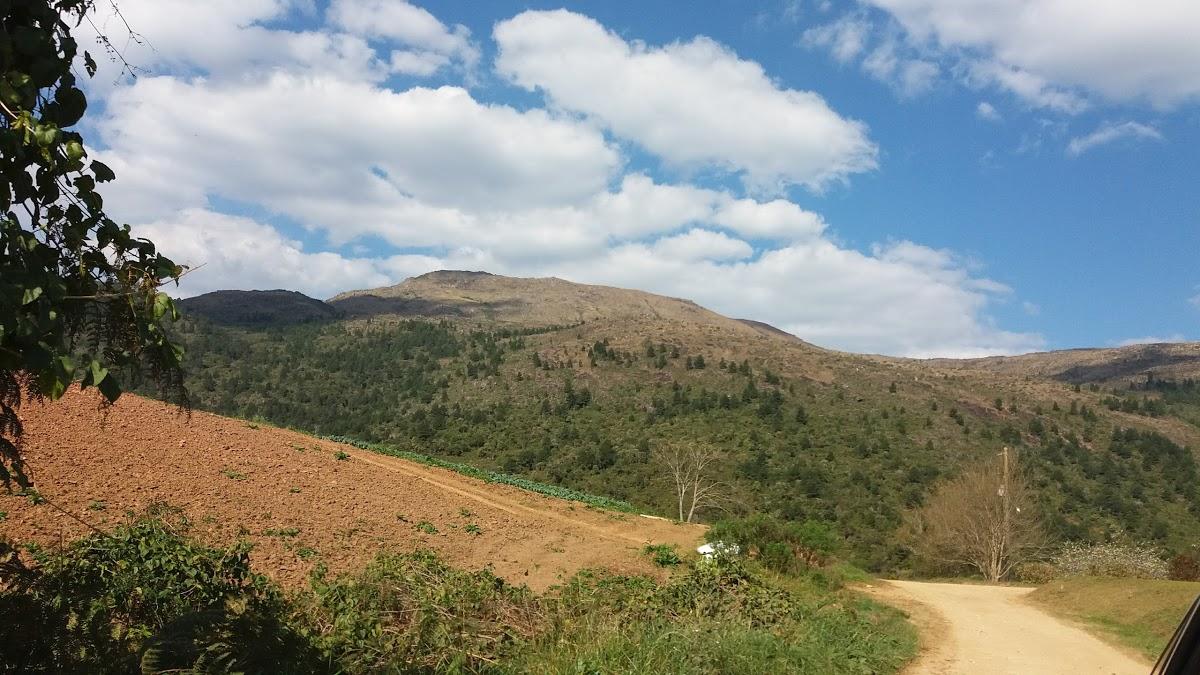 Registro de Marca Tijucas do Sul