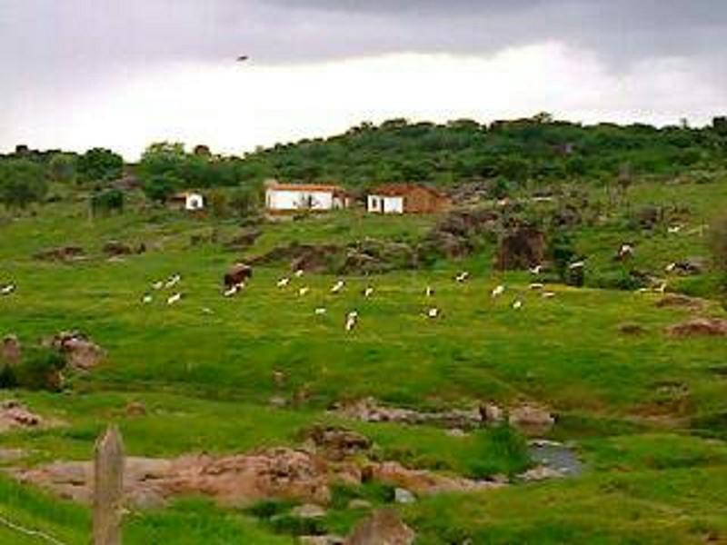 Registro de Marca Toritama