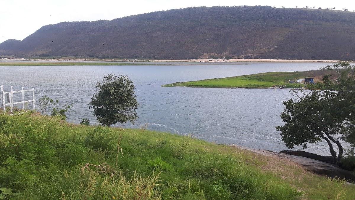 Registro de Marca Traipu