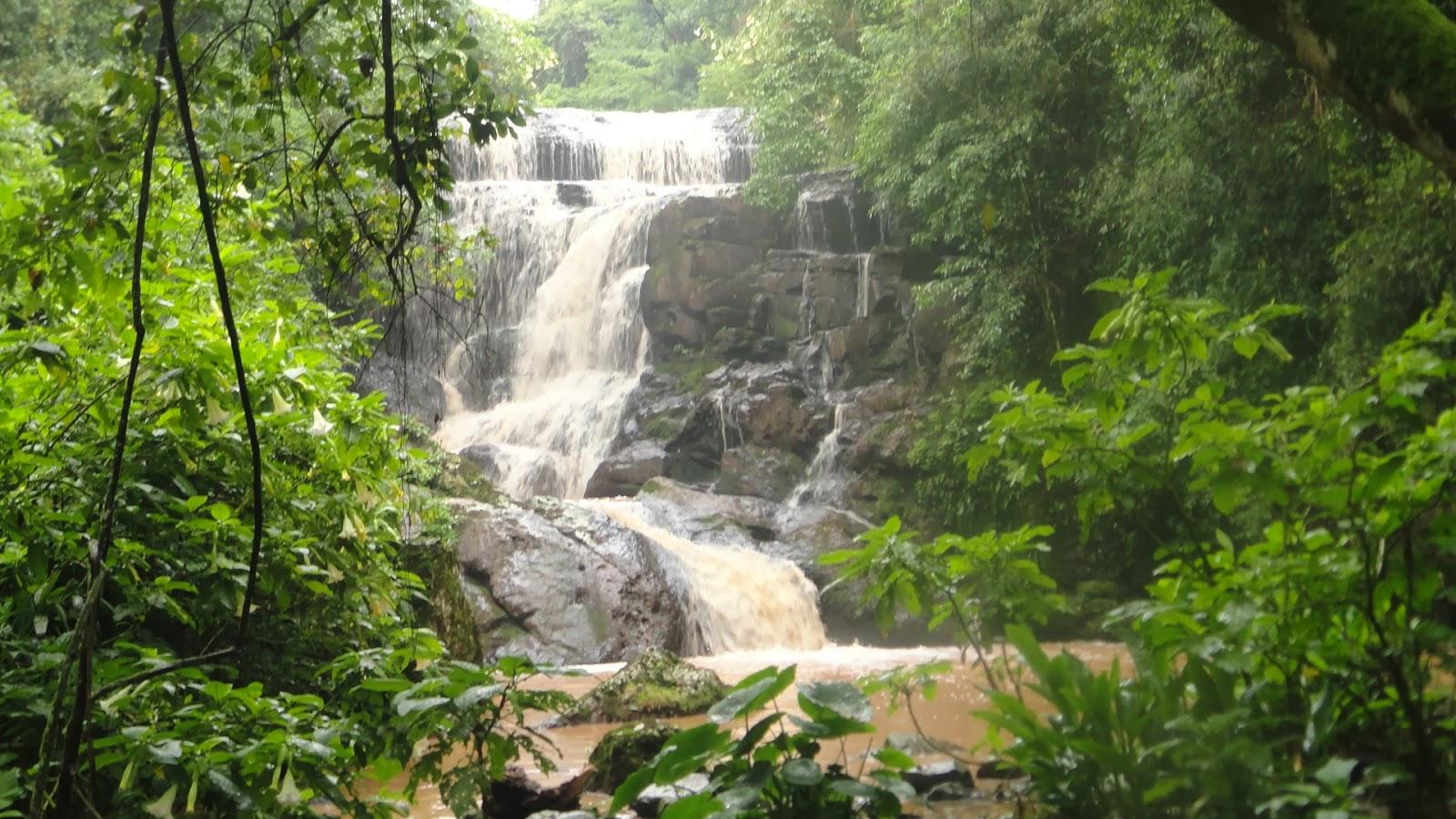 Registro de Marca Travesseiro