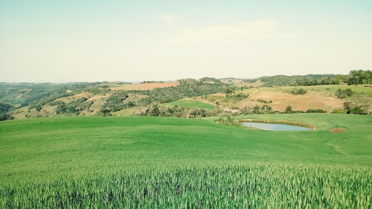 Registro de Marca Três Arroios