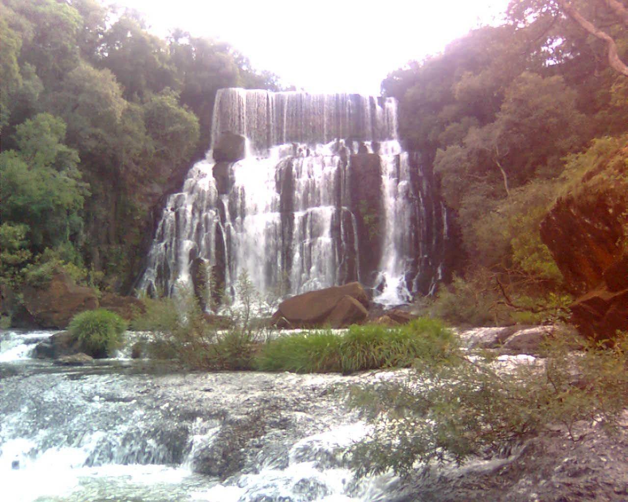 Registro de Marca Trindade do Sul