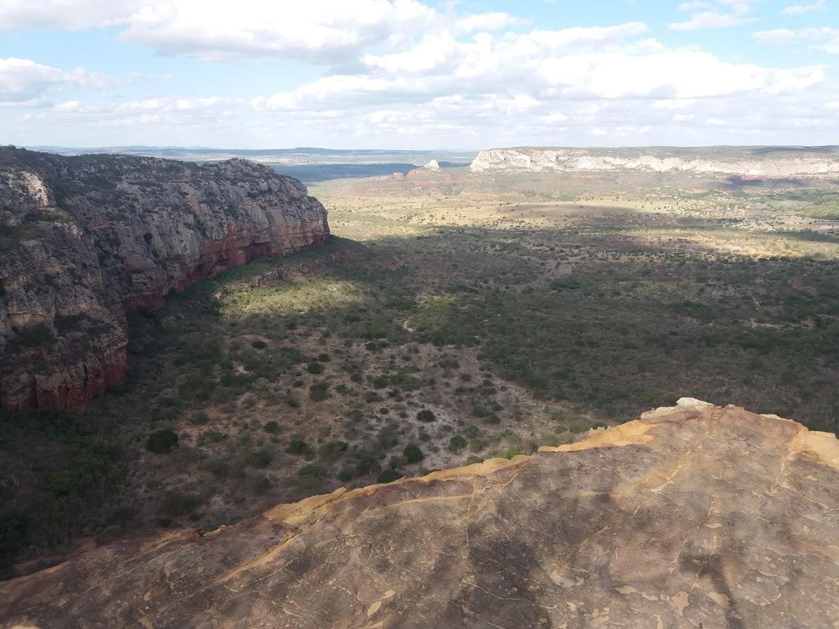 Registro de Marca Tupanatinga