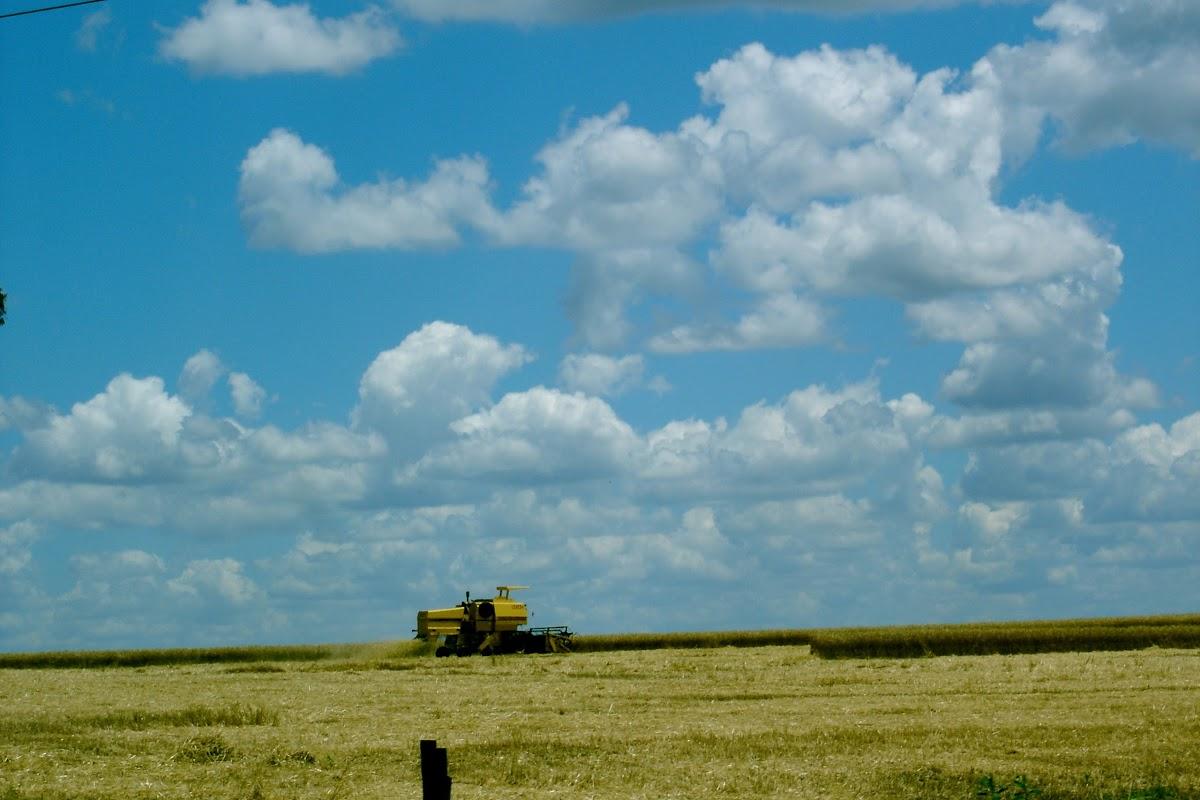 Registro de Marca Tupanciretã