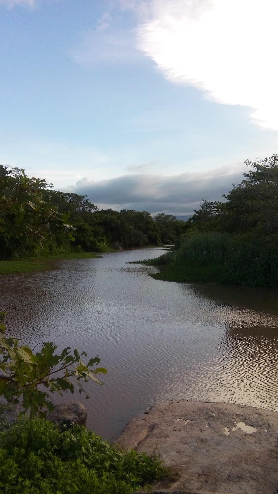 Registro de Marca Tururu