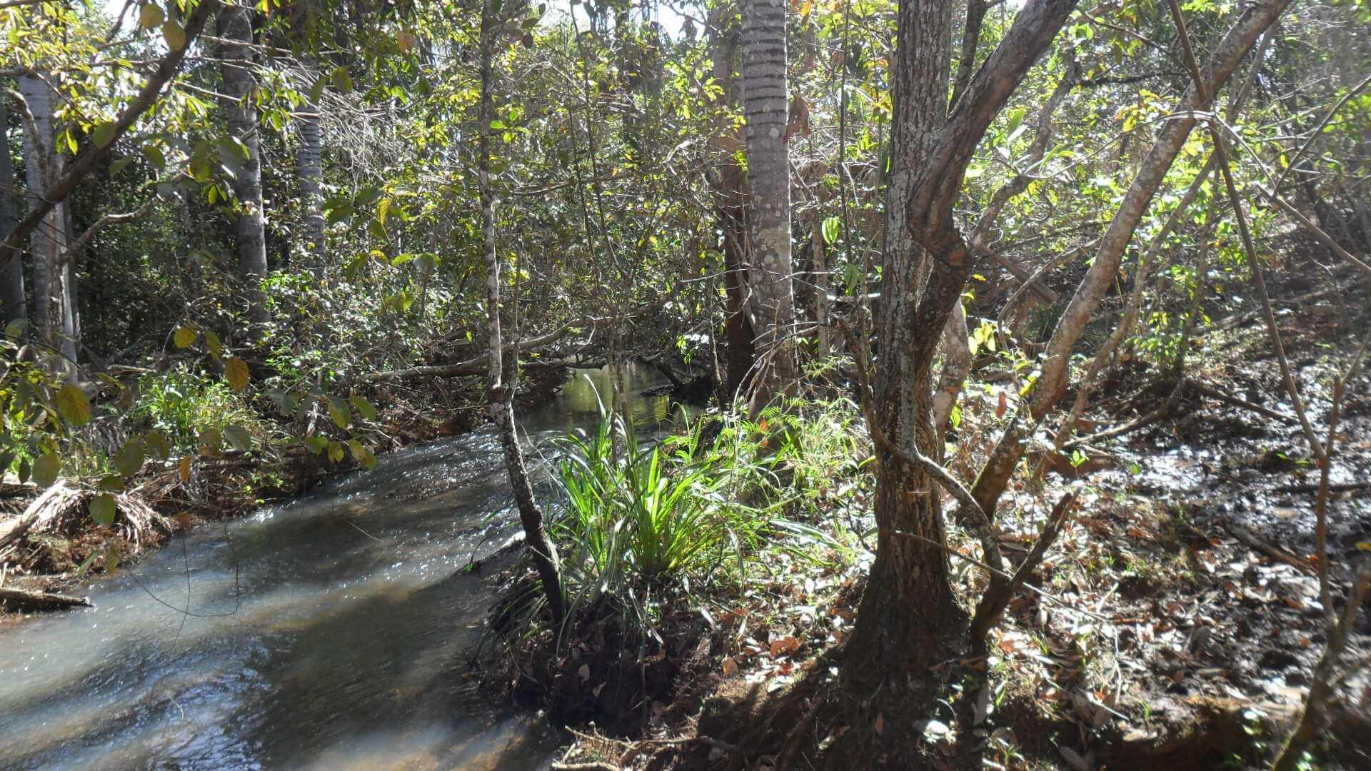 Registro de Marca Turvelândia