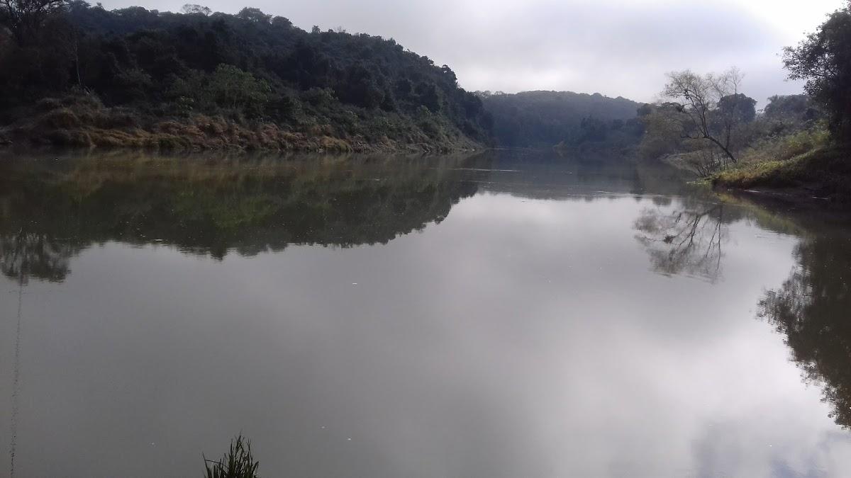 Registro de Marca Turvo