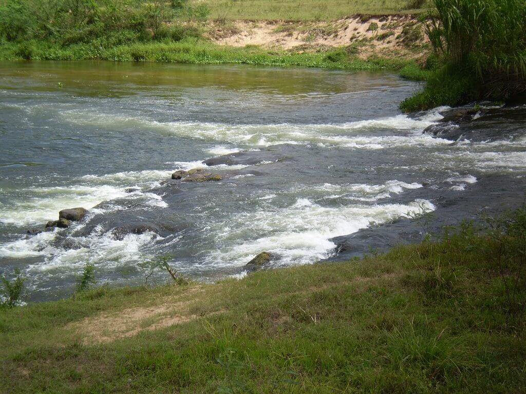 Registro de Marca Ubatã