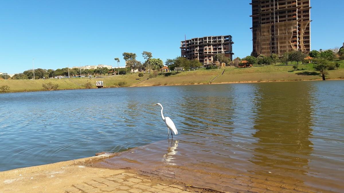 Registro de Marca Uberaba