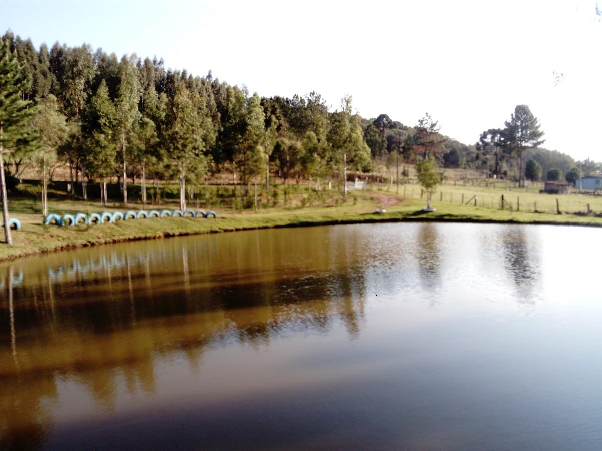 Registro de Marca Vargem Bonita