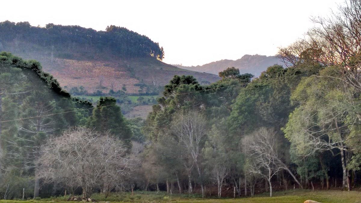 Registro de Marca Vargem