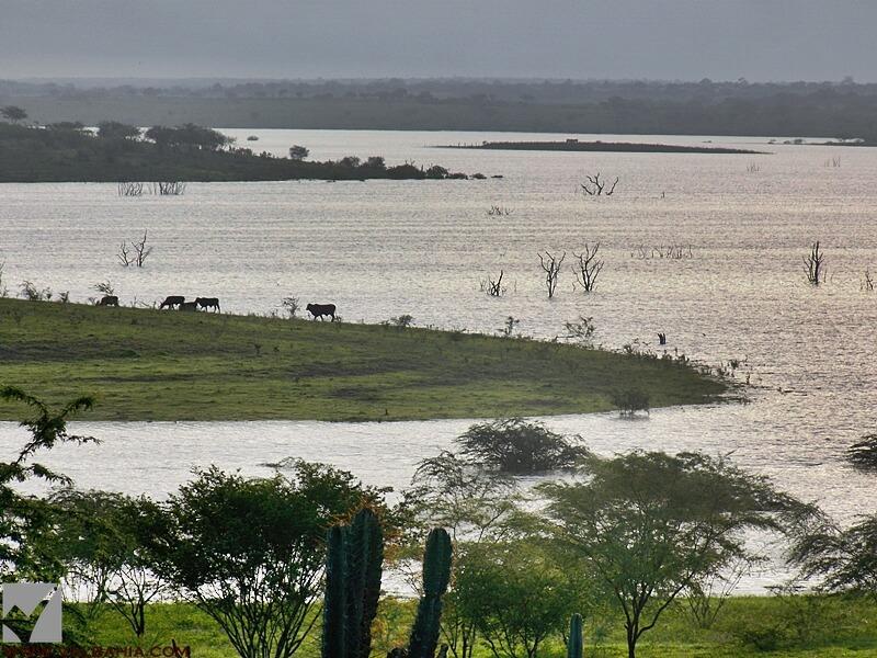 Registro de Marca Várzea da Roça
