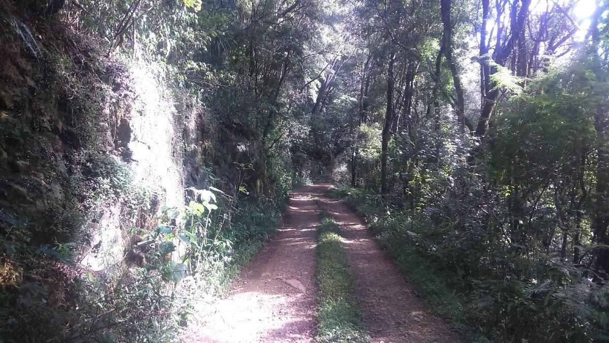 Registro de Marca Viadutos