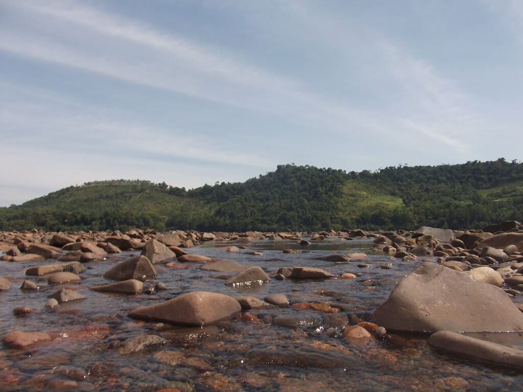 Registro de Marca Vicente Dutra