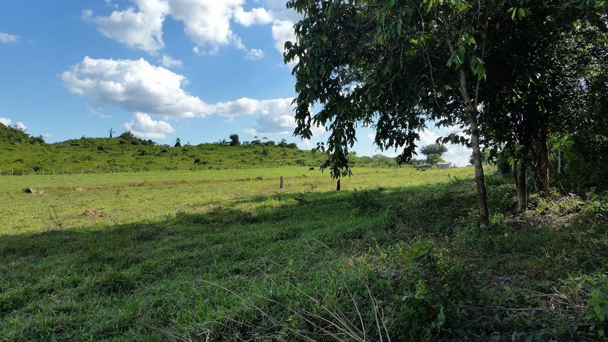 Registro de Marca Vila Nova dos Martírios