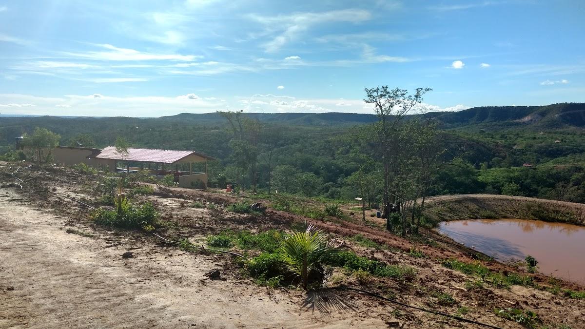 Registro de Marca Virgem da Lapa